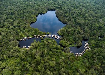 COP27 : Retour la Déclaration de Brazzaville sur la contribution des acteurs scientifiques et de la société civile de l'Afrique centrale sur la préservation du bassin du fleuve congo. © D.R.