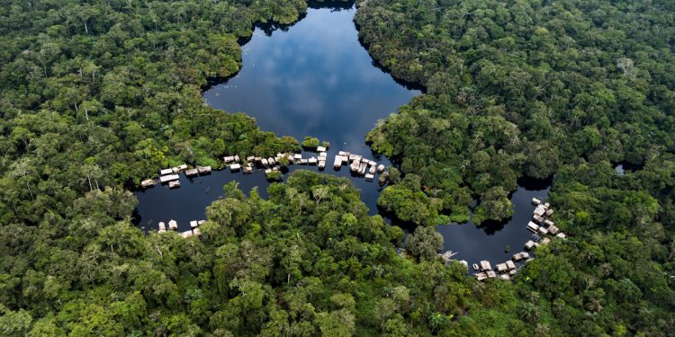 COP27 : Retour la Déclaration de Brazzaville sur la contribution des acteurs scientifiques et de la société civile de l'Afrique centrale sur la préservation du bassin du fleuve congo. © D.R.