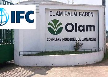 Olam Palm Gabon obtient un financement de 150 millions de dollars de la Société Financière Internationale © Le Confidentiel.