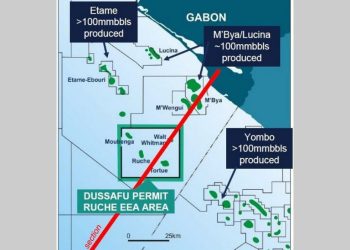 Quatrième puits d'Hibiscus en production au large du Gabon, d'autres impactés par les problèmes ESP © DR.