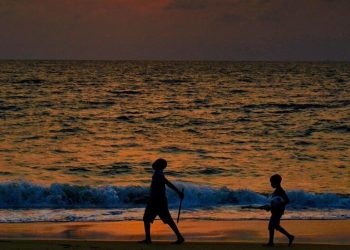 Le Gabon verse la première tranche du fonds dette-nature  / Le Confidentiel.