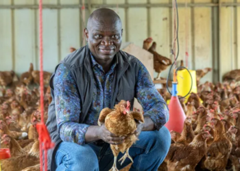 Brice Clotaire Oligui Nguema en visite à la ferme Agropag : Un engagement pour la souveraineté alimentaire du Gabon