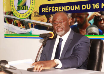 Référendum du 16 novembre : Hervé Patrick Opiangah appelle à « voter non pour rendre au peuple le pouvoir », crédit photo Gabonreview.