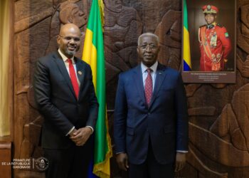 Habitat et logement : l’administrateur directeur général de Shelter Afrique Thierno-Habib Hann renouvelle son engagement au Gabon © Presse primature.