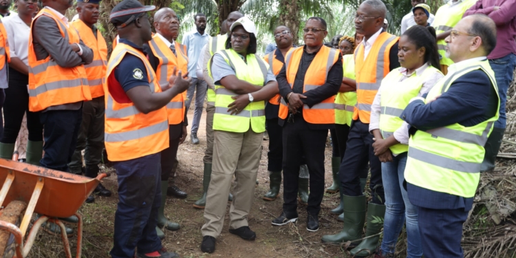 Visite du ministre Adette POLO sur le site d'Olam Palm Gabon : Un engagement pour l'agriculture durable, photo Com Olam Gabon.