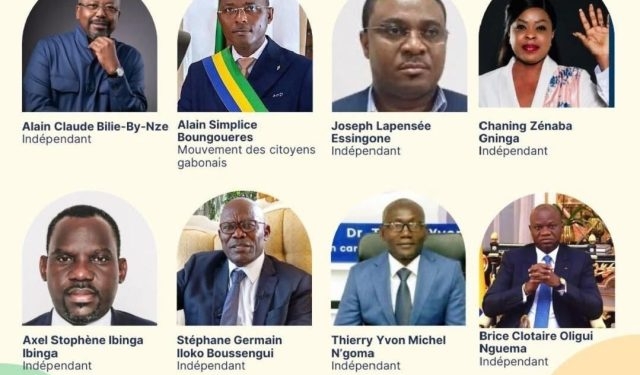 Gabon, Présidentielle 2025 : la Cour constitutionnelle valide quatre candidatures après recours, photo DR.