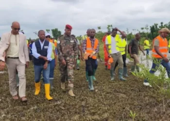 ARISE IIP et les Eaux et forêts lancent la restauration de 17 hectares de mangroves dans le nord-est de Libreville  © DR.