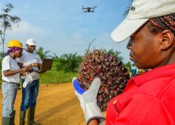 Olam Group réaffirme son engagement au Gabon malgré les spéculations, photo DR.