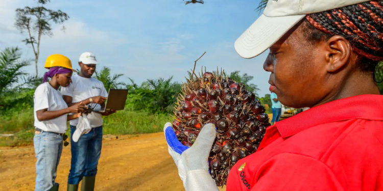 Olam Group réaffirme son engagement au Gabon malgré les spéculations, photo DR.